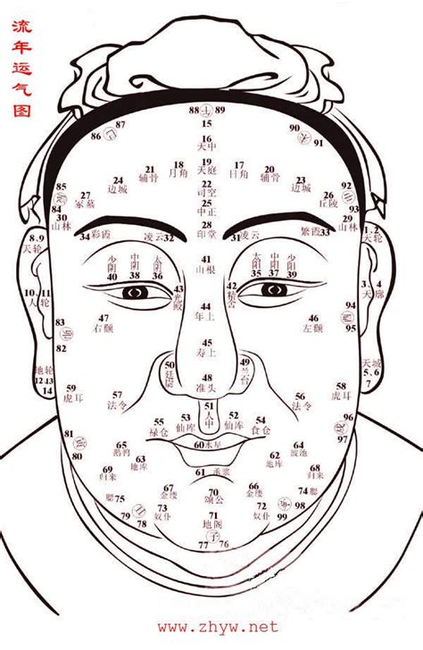 行眉運|1到100歲，面相流年氣運圖教你如何看自己的面相